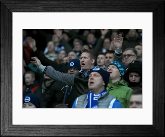 Framed Print : Brighton & Hove Albion vs Birmingham City: A 2015 Championship Showdown (21FEB15) Framed Print : Brighton & Hove Albion vs Birmingham City: A 2015 Championship Showdown (21FEB15)