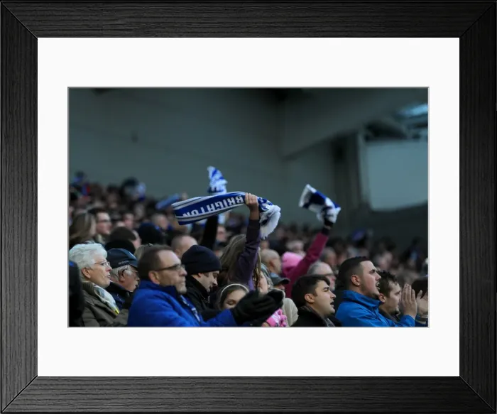 Framed Print : Brighton & Hove Albion vs. Birmingham City: 21st February 2015 - Home Game Framed Print : Brighton & Hove Albion vs. Birmingham City: 21st February 2015 - Home Game