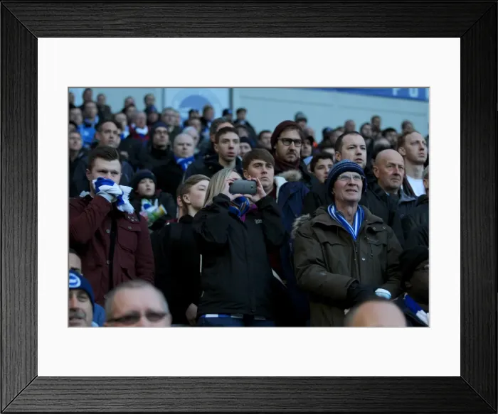 Framed Print : Brighton & Hove Albion vs. Birmingham City: A 2014-15 Home Battle (21FEB15)