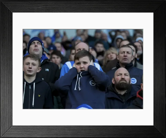 Framed Print : Brighton & Hove Albion vs. Birmingham City: Clash at the Amex Stadium - 21st February 2015 Framed Print : Brighton & Hove Albion vs. Birmingham City: Clash at the Amex Stadium - 21st February 2015