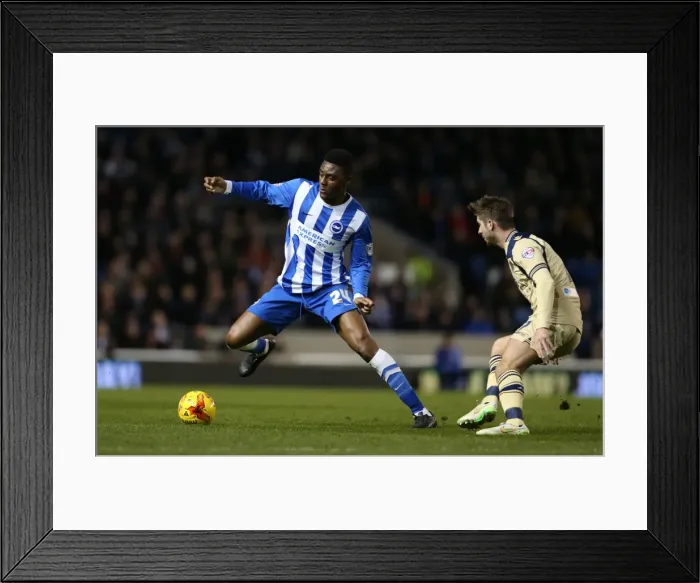 Framed Print : Rohan Ince in Action: Brighton & Hove Albion vs Leeds United, 24 February 2015 Framed Print : Rohan Ince in Action: Brighton & Hove Albion vs Leeds United, 24 February 2015