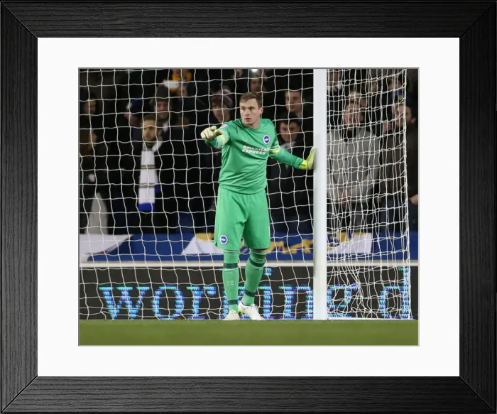 Framed Print : David Stockdale in Action: Brighton and Hove Albion vs Leeds United, 2015 Framed Print : David Stockdale in Action: Brighton and Hove Albion vs Leeds United, 2015