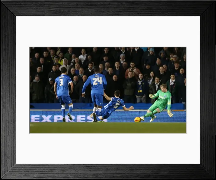 Framed Print : David Stockdale: In Action Against Leeds United, 2015 (Brighton and Hove Albion vs Leeds United) Framed Print : David Stockdale: In Action Against Leeds United, 2015 (Brighton and Hove Albion vs Leeds United)