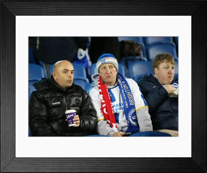 Framed Print : Passionate Albion Fans: A Moment of Pride at the American Express Community Stadium (Brighton & Hove Albion vs Leeds United, 24 February 2015)