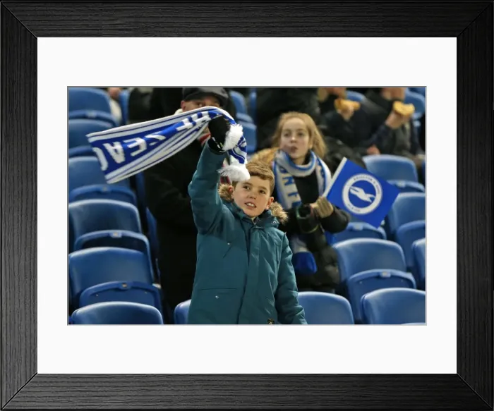 Framed Print : Passionate Albion Fans: A Moment of Pride at the American Express Community Stadium (Brighton & Hove Albion vs Leeds United, 24 February 2015) Framed Print : Passionate Albion Fans: A Moment of Pride at the American Express Community Stadium (Brighton & Hove Albion vs Leeds United, 24 February 2015)