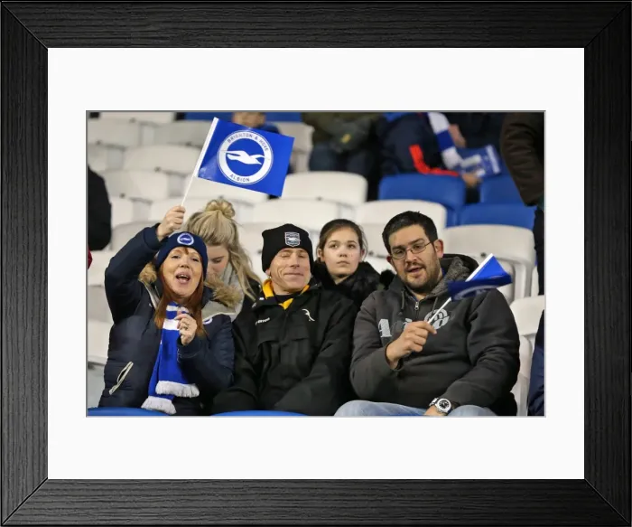 Framed Print : Passionate Fan Showdown: Brighton & Hove Albion vs Leeds United at American Express Community Stadium (24 February 2015) Framed Print : Passionate Fan Showdown: Brighton & Hove Albion vs Leeds United at American Express Community Stadium (24 February 2015)