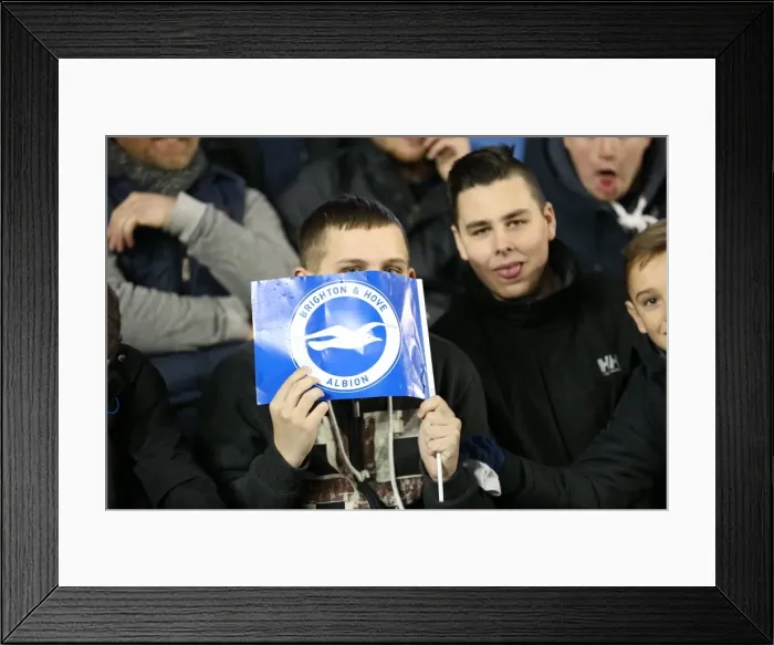 Framed Print : Passionate Albion Fans: A Moment of Pride at the American Express Community Stadium vs Leeds United (24 February 2015) Framed Print : Passionate Albion Fans: A Moment of Pride at the American Express Community Stadium vs Leeds United (24 February 2015)