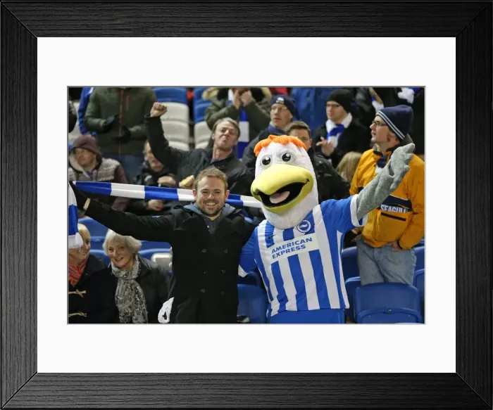 Framed Print : Passionate Showdown: Brighton & Hove Albion vs Leeds United at the American Express Community Stadium (24 February 2015) Framed Print : Passionate Showdown: Brighton & Hove Albion vs Leeds United at the American Express Community Stadium (24 February 2015)