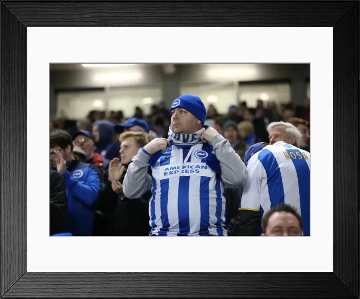 Framed Print : Passionate Albion Fans: A Moment of Pride at the American Express Community Stadium vs Leeds United (24 February 2015) Framed Print : Passionate Albion Fans: A Moment of Pride at the American Express Community Stadium vs Leeds United (24 February 2015)