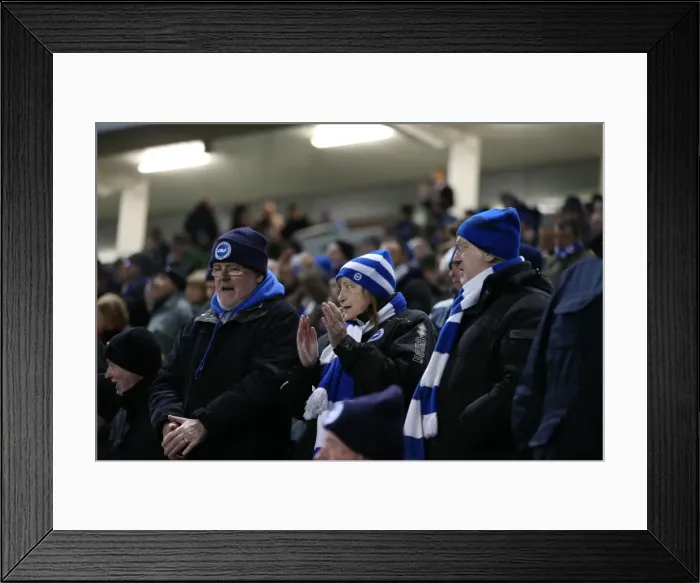 Framed Print : Passionate Fan Showdown: Brighton and Hove Albion vs Leeds United (24FEB15) - American Express Community Stadium Framed Print : Passionate Fan Showdown: Brighton and Hove Albion vs Leeds United (24FEB15) - American Express Community Stadium