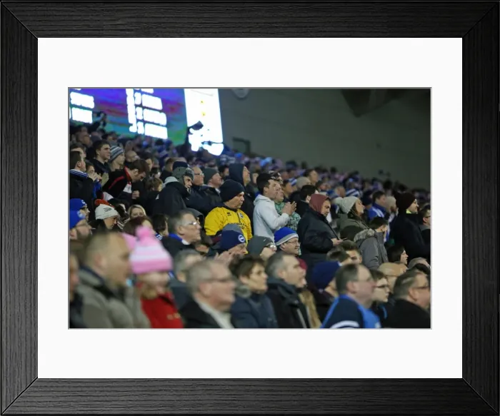 Framed Print : Passionate Albion Fans: A Moment of Pride at the American Express Community Stadium (Brighton & Hove Albion vs Leeds United, 24 February 2015) Framed Print : Passionate Albion Fans: A Moment of Pride at the American Express Community Stadium (Brighton & Hove Albion vs Leeds United, 24 February 2015)