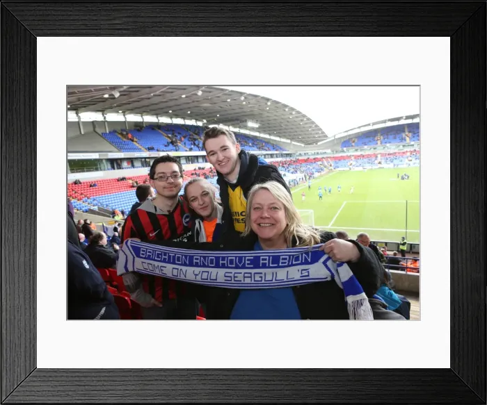 Framed Print : Brighton and Hove Albion Fans in Full Force: Sky Bet Championship Match vs. Bolton Wanderers (28th February 2015) Framed Print : Brighton and Hove Albion Fans in Full Force: Sky Bet Championship Match vs. Bolton Wanderers (28th February 2015)
