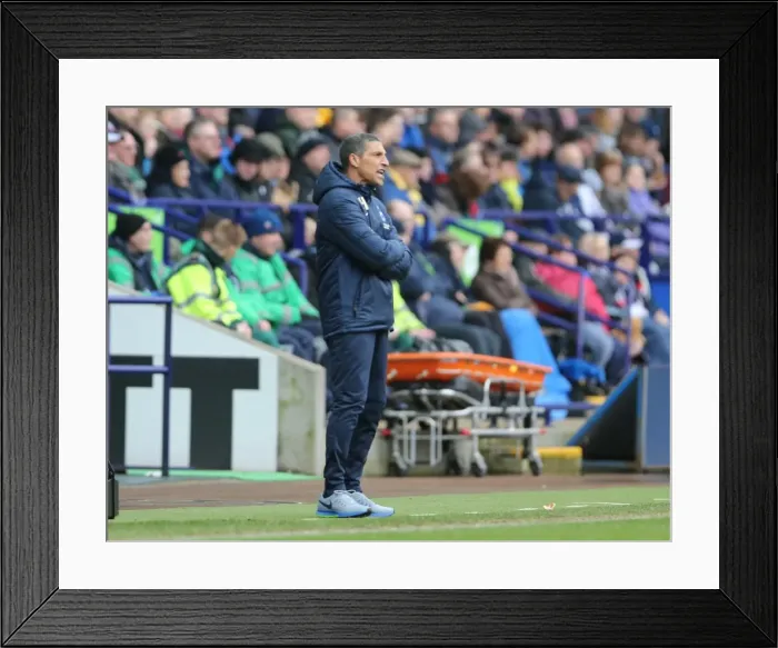 Framed Print : Chris Hughton Leads Brighton and Hove Albion Against Bolton Wanderers, 28FEB15