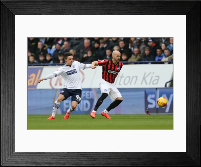 Framed Print : Bruno Saltor of Brighton and Hove Albion in Action Against Bolton Wanderers, Sky Bet Championship 2015