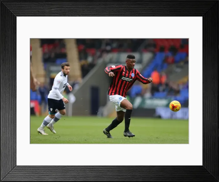 Framed Print : Rohan Ince in Action: Brighton and Hove Albion vs. Bolton Wanderers, Sky Bet Championship, 28th February 2015 Framed Print : Rohan Ince in Action: Brighton and Hove Albion vs. Bolton Wanderers, Sky Bet Championship, 28th February 2015