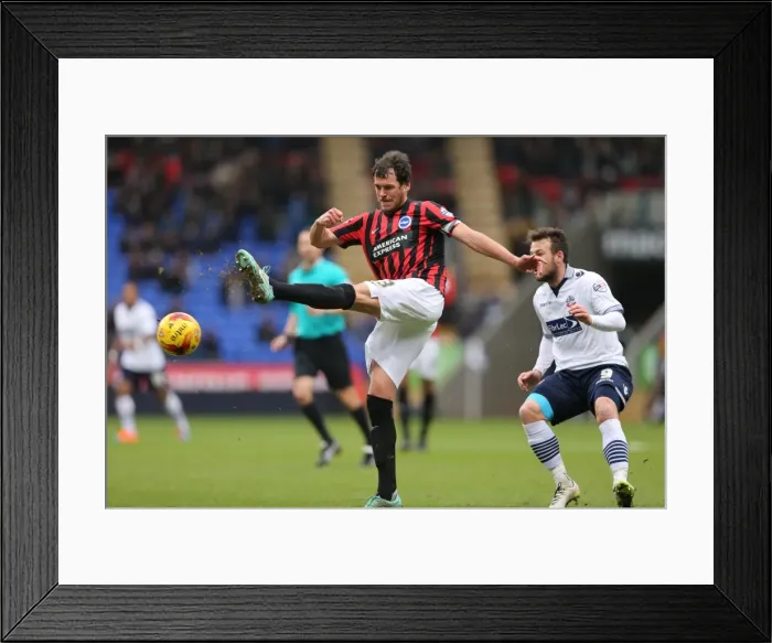 Framed Print : Gordon Greer Leads Brighton and Hove Albion in Championship Clash against Bolton Wanderers (28FEB15) Framed Print : Gordon Greer Leads Brighton and Hove Albion in Championship Clash against Bolton Wanderers (28FEB15)