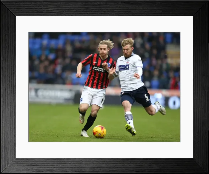 Framed Print : Craig Mackail-Smith in Action: Brighton and Hove Albion vs Bolton Wanderers, Sky Bet Championship 2015