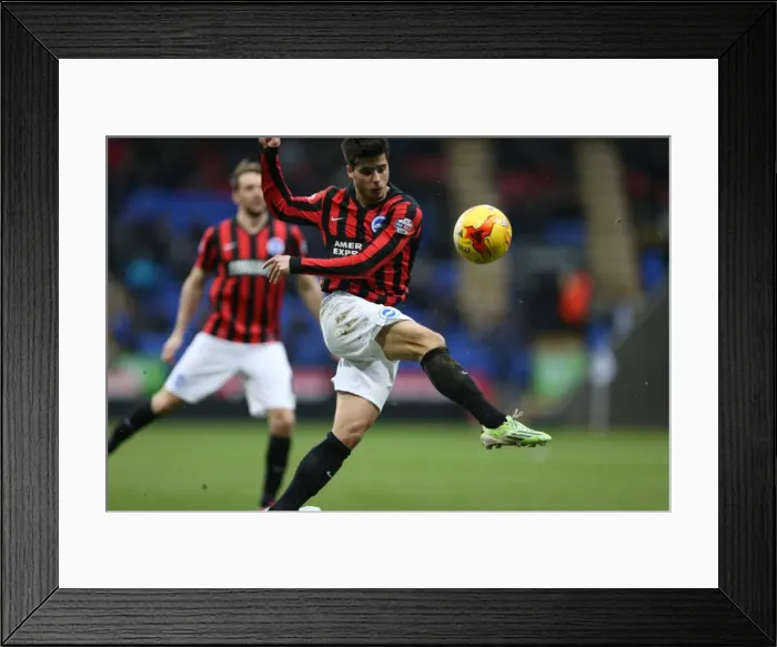 Framed Print : Teixeira Fires Up Brighton: Intense Moment from Bolton vs. Brighton Championship Clash, February 2015 Framed Print : Teixeira Fires Up Brighton: Intense Moment from Bolton vs. Brighton Championship Clash, February 2015
