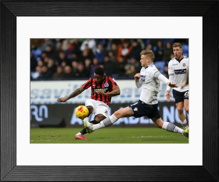 Framed Print : Brighton's LuaLua Scores in Championship Clash vs. Bolton Wanderers (28FEB15) Framed Print : Brighton's LuaLua Scores in Championship Clash vs. Bolton Wanderers (28FEB15)