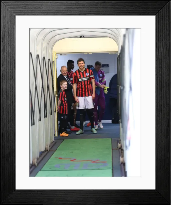 Framed Print : Brighton & Hove Albion's Mascot Faces Off Against Bolton Wanderers in Sky Bet Championship Clash, February 2015