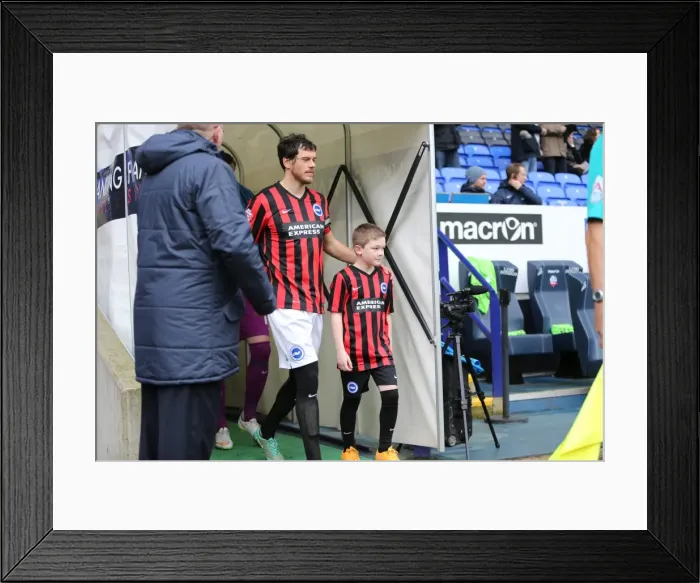 Framed Print : Brighton Mascot Faces Off against Bolton Wanderers during Sky Bet Championship Match, 28th February 2015 Framed Print : Brighton Mascot Faces Off against Bolton Wanderers during Sky Bet Championship Match, 28th February 2015