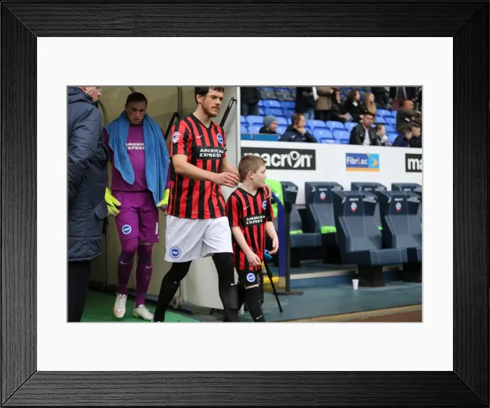 Framed Print : Brighton and Hove Albion's Mascot Faces Off Against Bolton Wanderers during Sky Bet Championship Clash, 2015 Framed Print : Brighton and Hove Albion's Mascot Faces Off Against Bolton Wanderers during Sky Bet Championship Clash, 2015