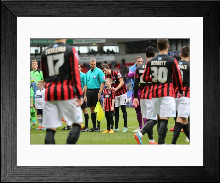 Framed Print : Brighton Mascot's Exciting Encounter at Bolton Wanderers Championship Match, 28th February 2015 Framed Print : Brighton Mascot's Exciting Encounter at Bolton Wanderers Championship Match, 28th February 2015