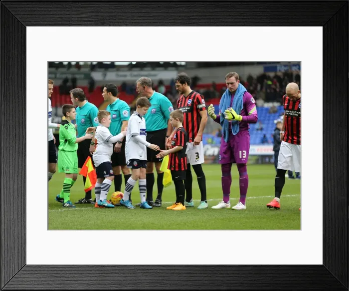 Framed Print : Brighton Mascot Faces Off Against Bolton Wanderers in Championship Clash (28FEB15) Framed Print : Brighton Mascot Faces Off Against Bolton Wanderers in Championship Clash (28FEB15)