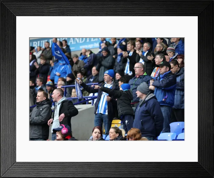 Framed Print : Brighton and Hove Albion Fans in Full Force: Sky Bet Championship Clash at Bolton Wanderers (28FEB15)
