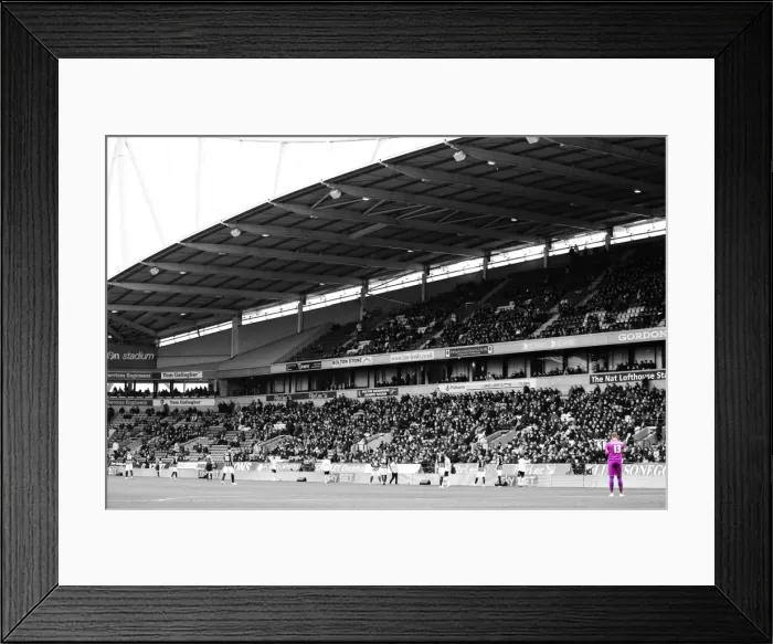 Framed Print : David Stockdale in Action: Brighton and Hove Albion vs Bolton Wanderers, Championship Clash at Macron Stadium (28FEB15) Framed Print : David Stockdale in Action: Brighton and Hove Albion vs Bolton Wanderers, Championship Clash at Macron Stadium (28FEB15)