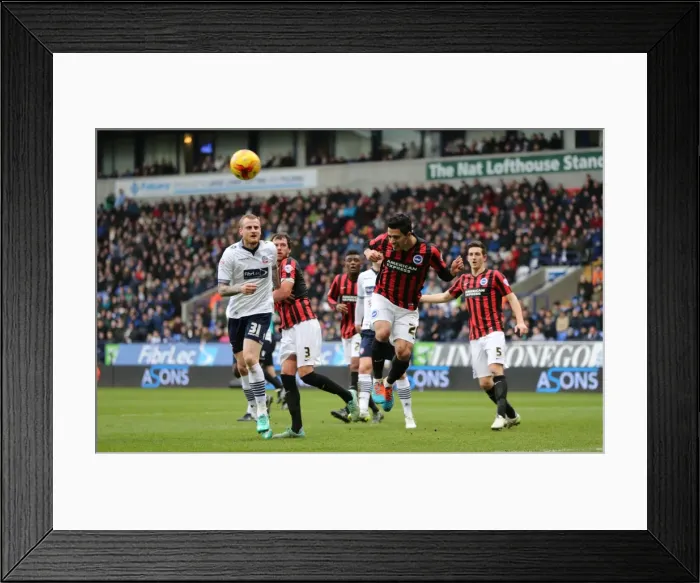 Framed Print : Brighton's Kayal in Action Against Bolton Wanderers (28FEB15) Framed Print : Brighton's Kayal in Action Against Bolton Wanderers (28FEB15)