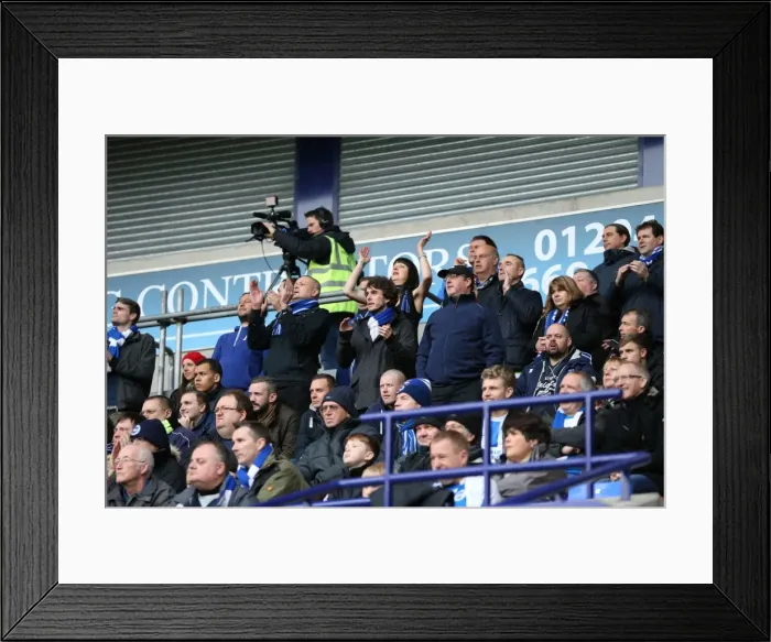 Framed Print : Brighton and Hove Albion Fans Passionate Support at Bolton Wanderers Championship Match, 28th February 2015 Framed Print : Brighton and Hove Albion Fans Passionate Support at Bolton Wanderers Championship Match, 28th February 2015