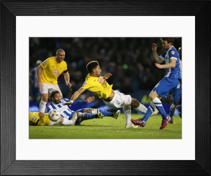 Framed Print : Dale Stephens Stuns Derby County: Thrilling Goal for Brighton in Sky Bet Championship (3 March 2015) Framed Print : Dale Stephens Stuns Derby County: Thrilling Goal for Brighton in Sky Bet Championship (3 March 2015)