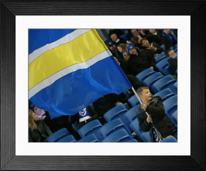 Framed Print : Passionate Showdown: Brighton & Hove Albion vs. Derby County at American Express Community Stadium (3rd March 2015) Framed Print : Passionate Showdown: Brighton & Hove Albion vs. Derby County at American Express Community Stadium (3rd March 2015)