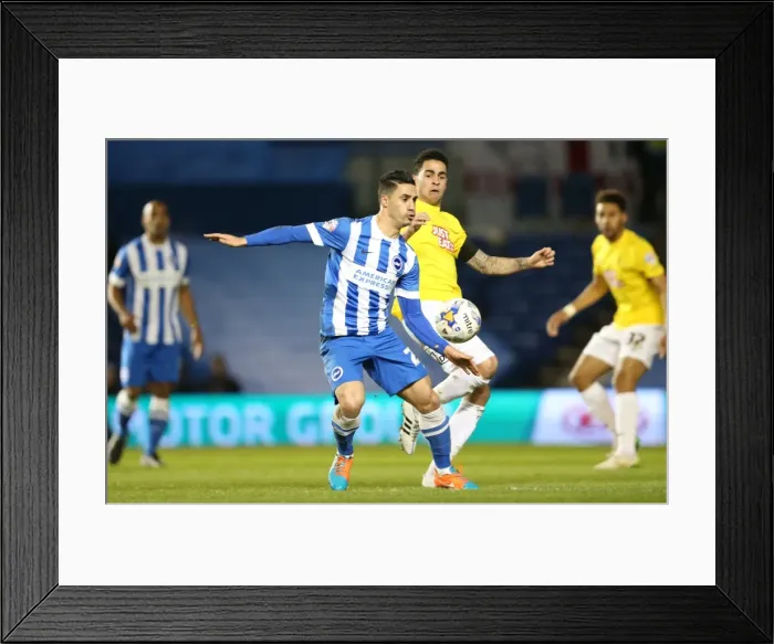 Framed Print : Brighton Midfielder Beram Kayal in Action against Derby County, Sky Bet Championship 2015 Framed Print : Brighton Midfielder Beram Kayal in Action against Derby County, Sky Bet Championship 2015