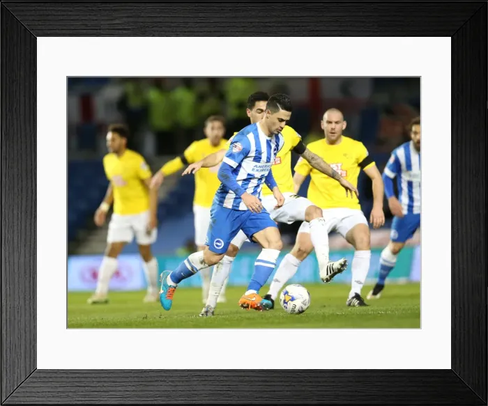 Framed Print : Brighton's Beram Kayal in Action Against Derby County, Sky Bet Championship 2015 Framed Print : Brighton's Beram Kayal in Action Against Derby County, Sky Bet Championship 2015