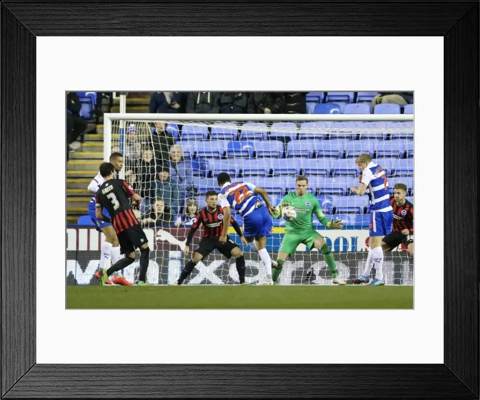 Framed Print : David Stockdale in Action: Sky Bet Championship Showdown between Reading and Brighton & Hove Albion (10th March 2015)