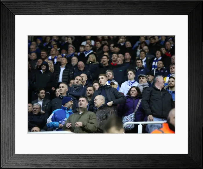 Framed Print : Brighton and Hove Albion Fans in Full Force at Reading's Madejski Stadium (10MAR15) Framed Print : Brighton and Hove Albion Fans in Full Force at Reading's Madejski Stadium (10MAR15)