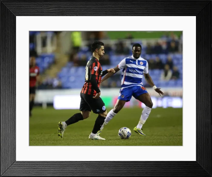Framed Print : Brighton's Kayal in Action: Reading vs. Brighton and Hove Albion, Championship 2015 - Beram Kayal Midfield Battle Framed Print : Brighton's Kayal in Action: Reading vs. Brighton and Hove Albion, Championship 2015 - Beram Kayal Midfield Battle