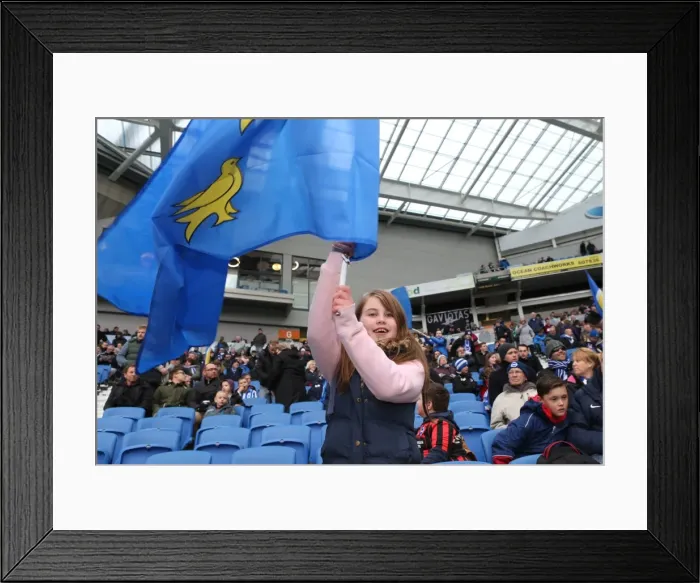 Framed Print : Passionate Albion Fans at the American Express Community Stadium: Brighton & Hove Albion vs. Wolverhampton Wanderers (14MAR15) Framed Print : Passionate Albion Fans at the American Express Community Stadium: Brighton & Hove Albion vs. Wolverhampton Wanderers (14MAR15)
