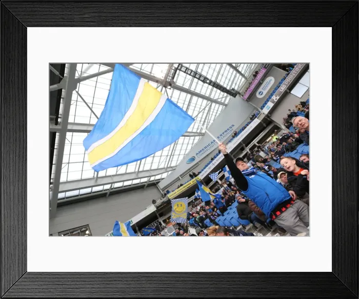 Framed Print : Passionate Showdown: Brighton & Hove Albion vs. Wolverhampton Wanderers (Sky Bet Championship, 14March15)