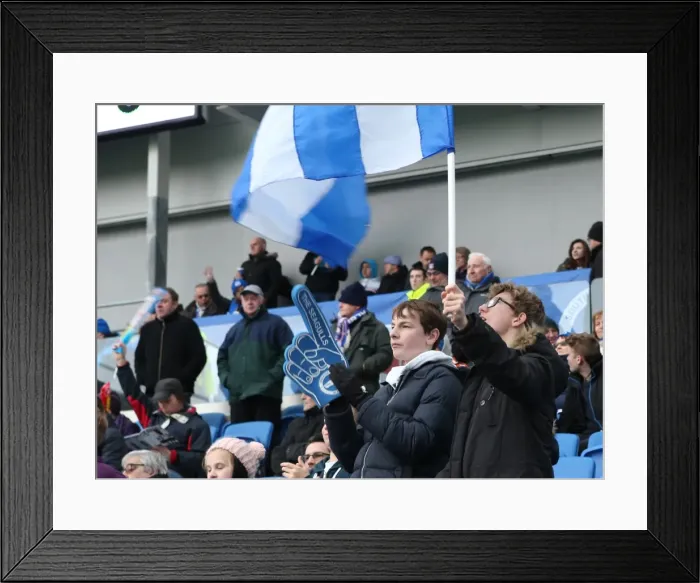 Framed Print : Passionate Moment: Brighton and Hove Albion Fans during the Sky Bet Championship Match vs. Wolverhampton Wanderers (14MAR15) Framed Print : Passionate Moment: Brighton and Hove Albion Fans during the Sky Bet Championship Match vs. Wolverhampton Wanderers (14MAR15)