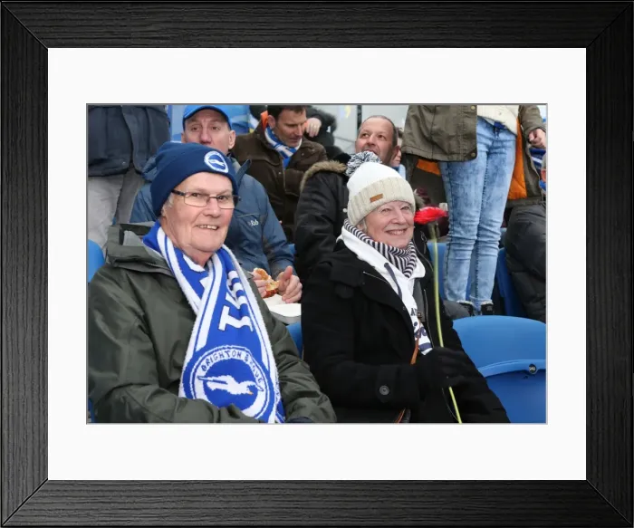 Framed Print : Sea of Passion: Brighton and Hove Albion vs. Wolverhampton Wanderers (14MAR15) Framed Print : Sea of Passion: Brighton and Hove Albion vs. Wolverhampton Wanderers (14MAR15)