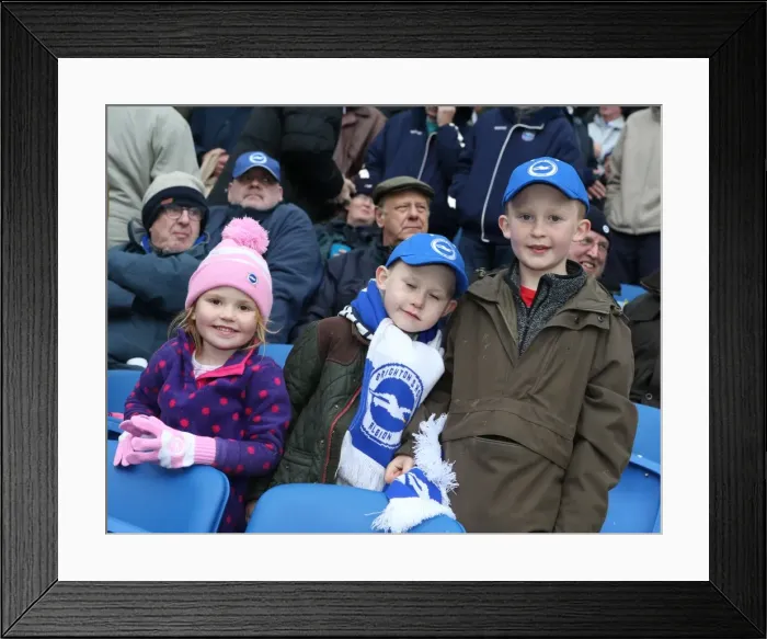 Framed Print : Passionate Brighton and Hove Albion Fans in Action during the Sky Bet Championship Match vs. Wolverhampton Wanderers (14MAR15)