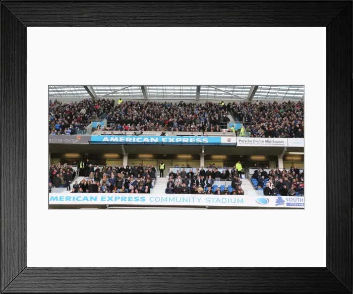 Framed Print : Passionate Albion Fan Moment: Brighton and Hove vs. Wolverhampton Wanderers (14 March 2015) Framed Print : Passionate Albion Fan Moment: Brighton and Hove vs. Wolverhampton Wanderers (14 March 2015)
