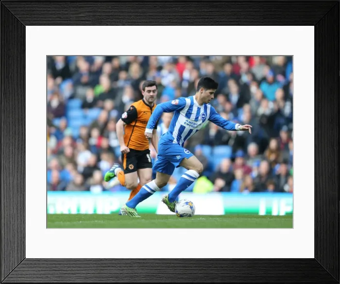 Framed Print : Brighton's Teixeira in Action against Wolverhampton Wanderers, Sky Bet Championship 2015 Framed Print : Brighton's Teixeira in Action against Wolverhampton Wanderers, Sky Bet Championship 2015