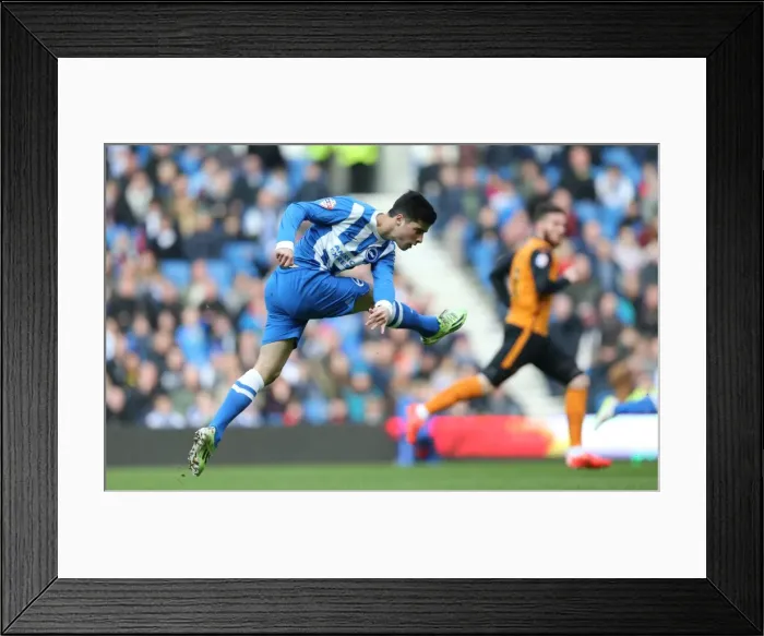 Framed Print : Brighton Midfielder Joao Carlos Teixeira Fires a Shot Against Wolverhampton Wanderers at American Express Community Stadium (Brighton vs. Wolverhampton, March 14, 2015) Framed Print : Brighton Midfielder Joao Carlos Teixeira Fires a Shot Against Wolverhampton Wanderers at American Express Community Stadium (Brighton vs. Wolverhampton, March 14, 2015)