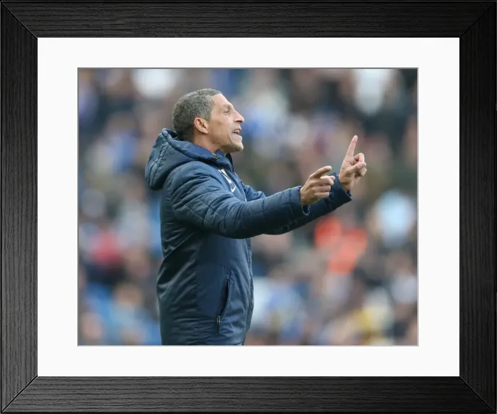 Framed Print : Chris Hughton Leads Brighton and Hove Albion Against Wolverhampton Wanderers, March 2015 Framed Print : Chris Hughton Leads Brighton and Hove Albion Against Wolverhampton Wanderers, March 2015