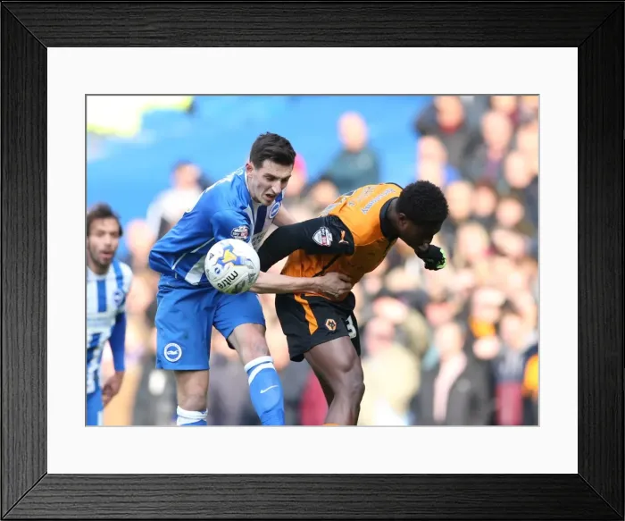Framed Print : Lewis Dunk in Action: Brighton & Hove Albion vs. Wolverhampton Wanderers, Sky Bet Championship Clash (14March15)