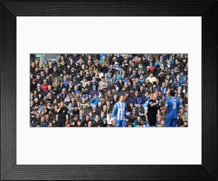 Framed Print : Passionate Moment: Brighton and Hove Albion Fans at the American Express Community Stadium vs. Wolverhampton Wanderers (14MAR15) Framed Print : Passionate Moment: Brighton and Hove Albion Fans at the American Express Community Stadium vs. Wolverhampton Wanderers (14MAR15)
